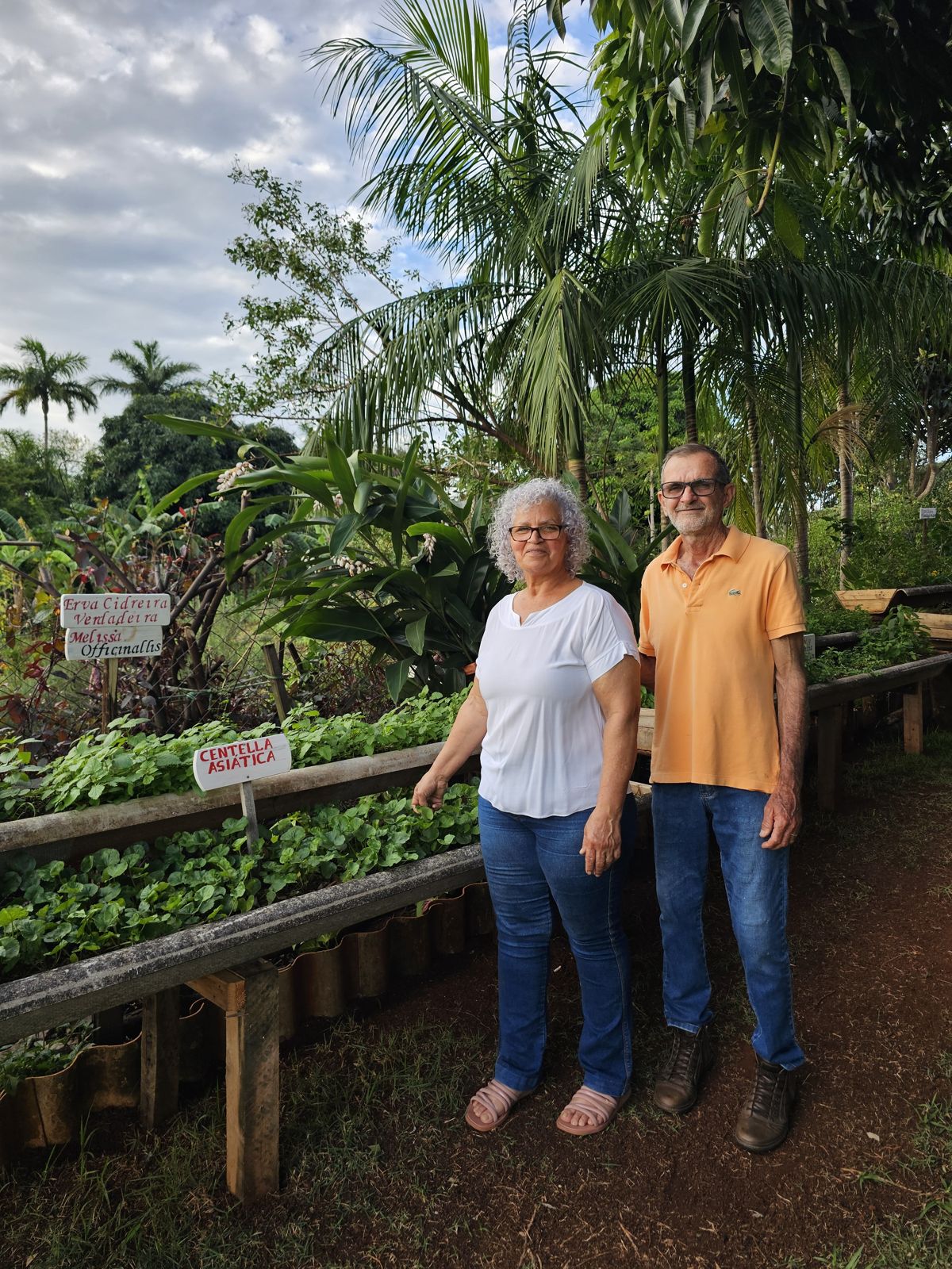 Sônia e Inácio na horta do Chalé do Chá, ao lado dos canteiros de erva-cidreira e centela